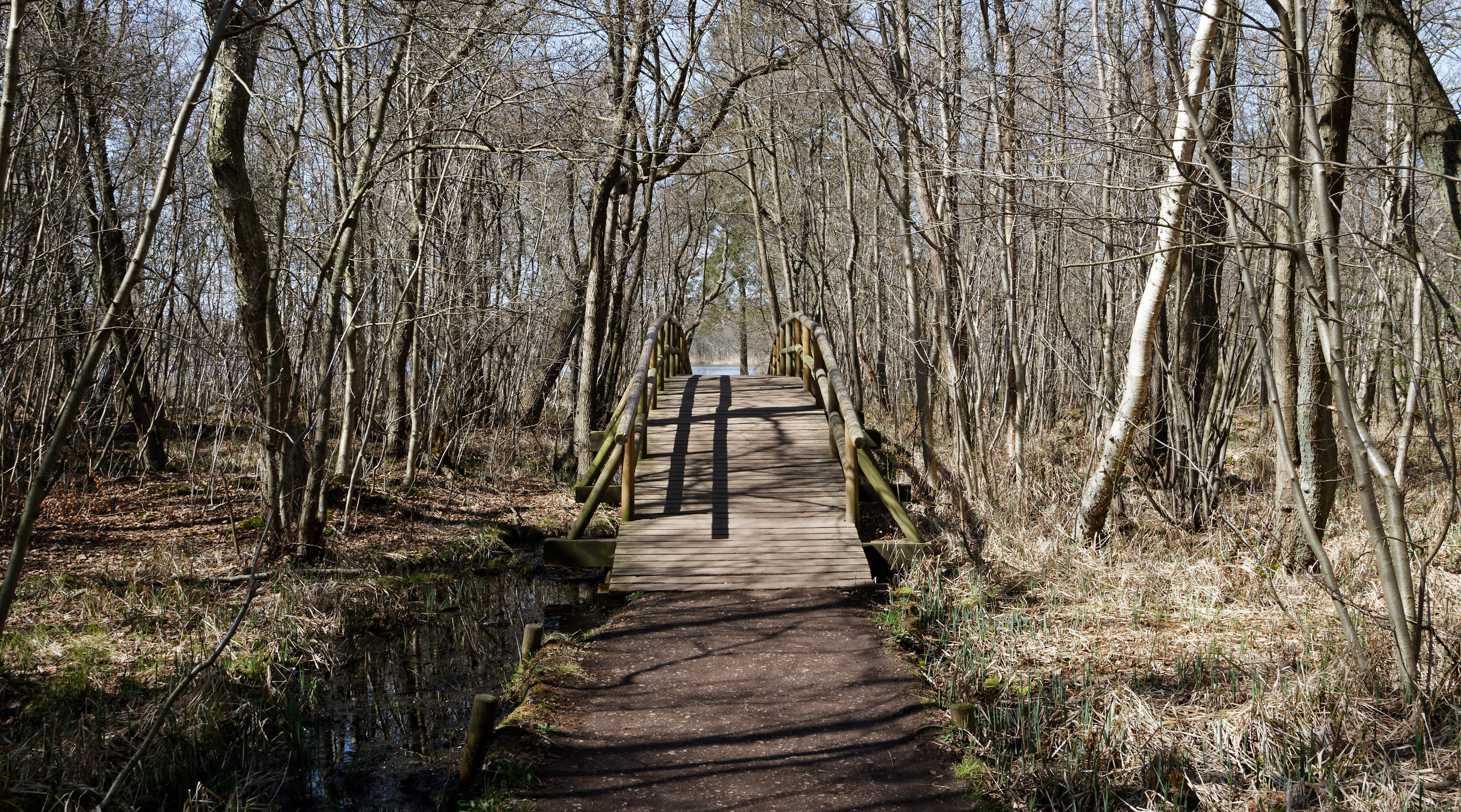 20210420 Lyngby Sø 45